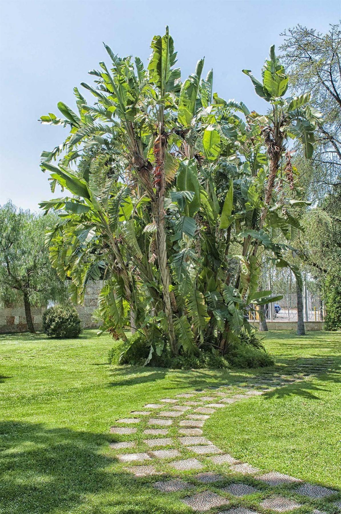 Garden Hotel Molfetta Exterior foto